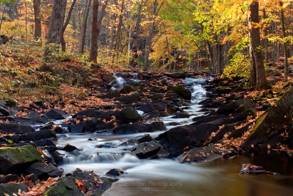 Black Creek in Autumn #1 (2015)