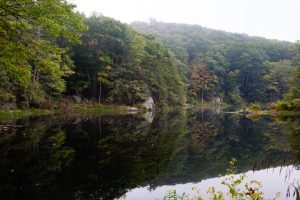 Summer Morning at Sanctuary Pond