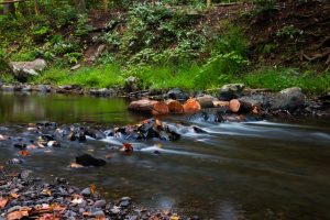 September Morning at Black Creek