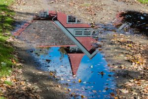 Stable Reflection