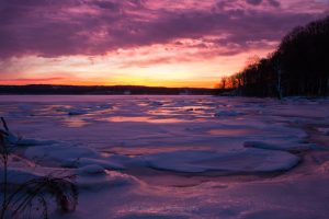 January Dawn at Esopus Meadows I