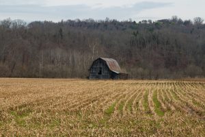 Old Country Barn in Spring