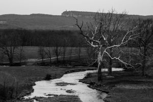 Spring Scene at the Rail Trail