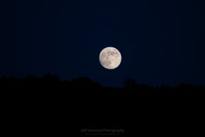 Moon Rising Over Spring Farm