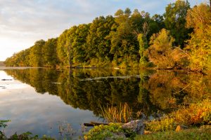 Golden Hour at Esopus Meadows