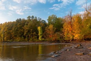 Golden Hour at Esopus Meadows II