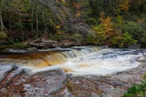 October Morning on the Peterskill