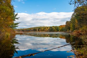 Fall Reflections on Louisa Pond