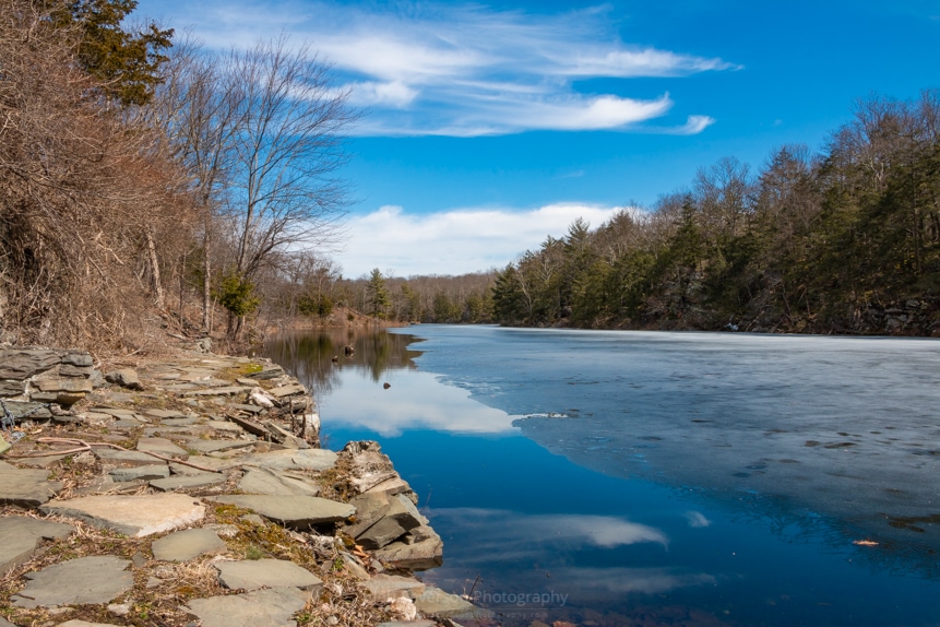 March Morning at Sanctuary Pond