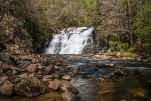 Laurel Falls in Spring I