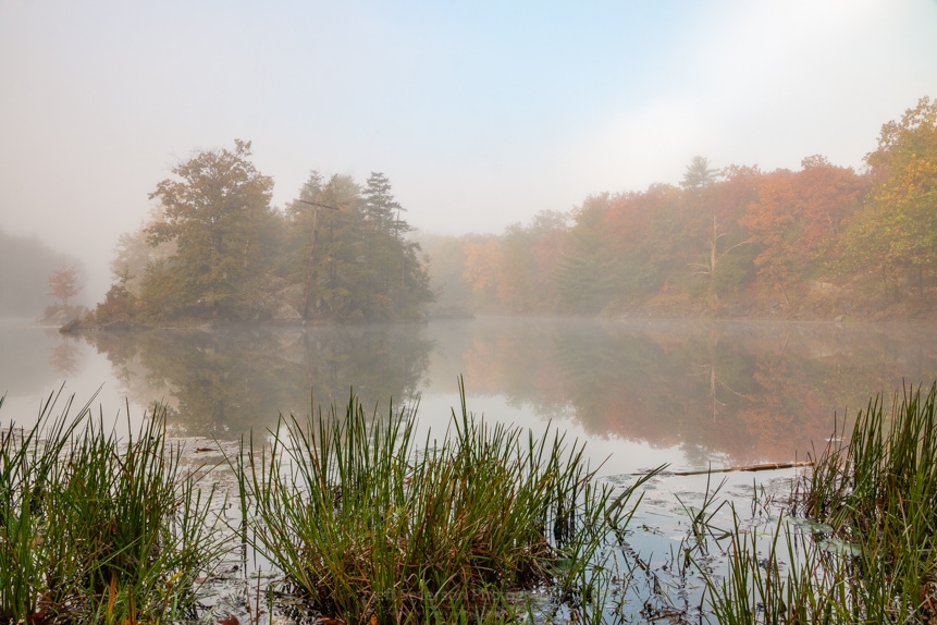 Foggy Morning at Sanctuary Pond