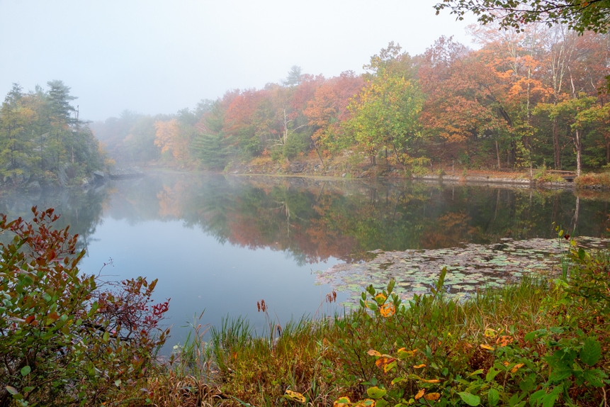 Foggy Morning at Sanctuary Pond III