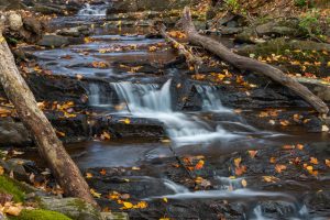 October Morning at Falling Waters