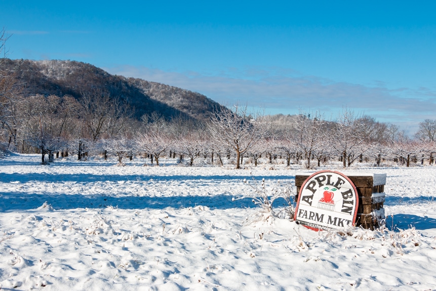 A photo of fresh snow covering the apple orchard at Apple Bin Farm Market.