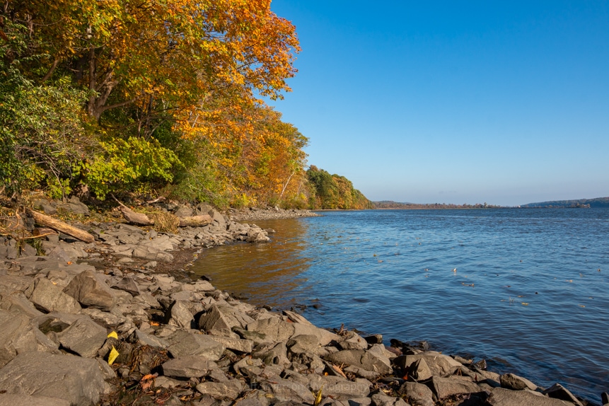 A photo of trees covered with autumn foliage along the shores of the Hudson River at Falling Waters Preserve.