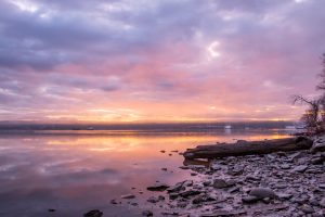 Pastel colored clouds reflected on the Hudson River during sunrise along the shoreline of Esopus Meadows Preserve.