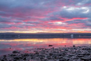 Pink, magenta, and orange clouds reflected on the Hudson River along the shores of the Esopus Meadows Preserve on a January morning.