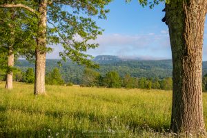 A landscape photo from along Pin Oak Allee at Mohonk Preserve of Skytop Tower and the cloud-shrouded Shawangunk Ridge on a June morning in New Paltz, NY.