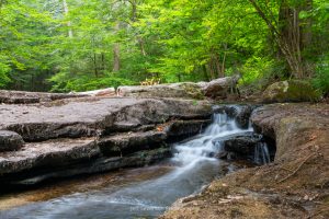 A long exposure photograph of a mini waterfall along the Coxing Kill at Mohonk Preserve.