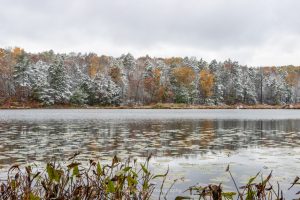 A photo of snow covered trees and bank of Louisa Pond at Shaupeneak Ridge after an autumn snowstorm.