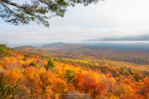 A landscape photo of fall foliage highlighted by the sun breaking through the clouds at Minnewaska State Park Preserve.