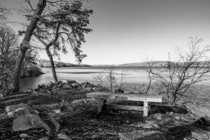 A black and white photo of the Hudson River from the Pitch Pine Overlook at Black Creek Preserve in Esopus, NY.