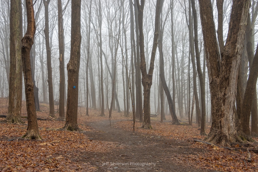 A photo of fog filled forest on a rainy March evening at Esopus Meadows Preserve in Ulster Park.