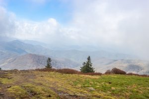 A view of the surrounding Blue Ridge Mountain Range from atop Roan Mountain as the fog clears on an April morning.