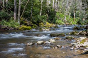 A photo of the Doe River flowing through the Roan Mountain State Park in Tennessee.