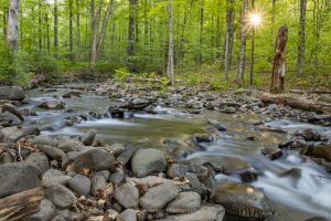 A long exposure photo of a stream along the Ashokan Rail Trail in Boiceville as the morning sun breaks through the trees.