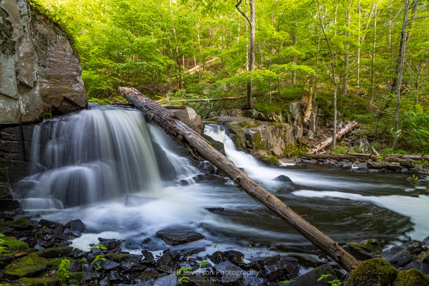 A morning photo of Middle Falls, a waterfall on Black Creek in Esopus, NY, with a downed tree hanging over the edge of the fall.