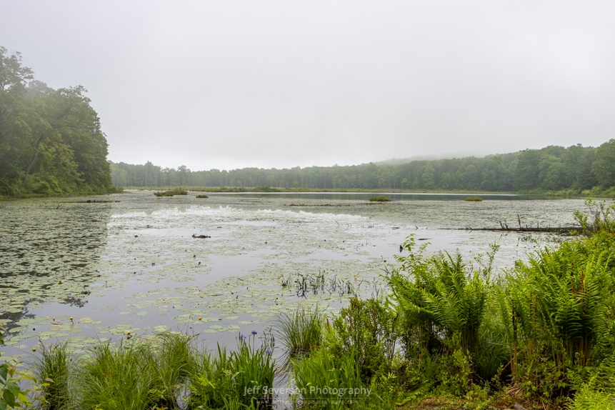 A photo of Louisa Pond at Shuapeneak Ridge on a foggy June morning.