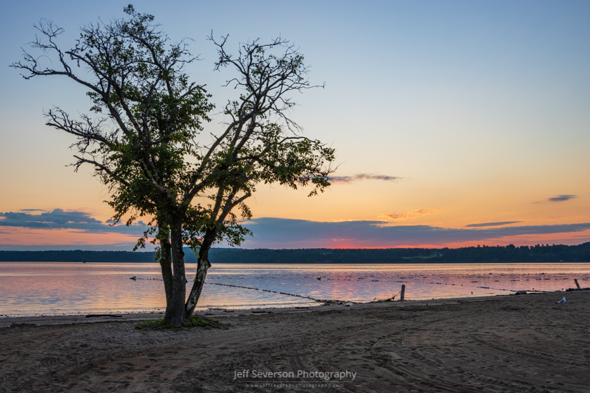 A photo of a tree on the Kingston Point Beach during a July sunrise over the Hudson River.