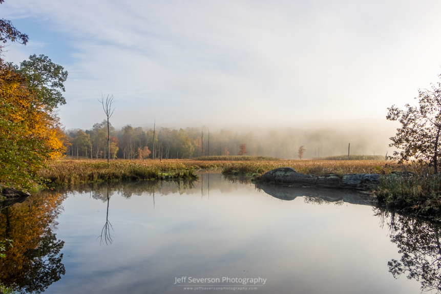 A landscape photograph of trees reflected in Black Creek on a foggy October morning.