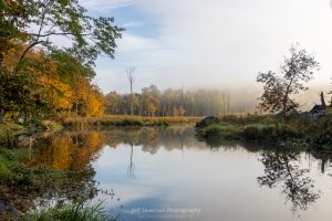 An autumn photo of trees reflected in Black Creek as for lifts through the trees in the background.