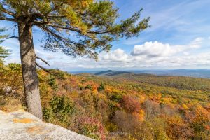 A landscape photo of the autumn foliage in a valley from atop an overlook at Minnewaska State Park.