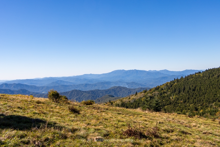 The view of the surrounding Appalachian Mountains while hiking up to Round Bald on Roan Mountain in Tennessee.