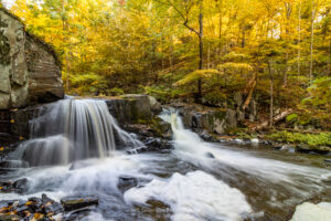 A photo of Middle Falls on Black Creek in the Town of Esopus surrounded by golden fall foliage on an October morning.