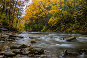 A long exposure photograph along the Rondout Creek off of Peekamoose Road in the Catskills on an autumn morning.