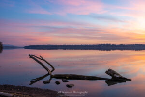 A photo of driftwood silhouetted in the water during a sunrise while looking North up the Hudson River in mid-April from the shore of Lighthouse Park in Ulster Park.