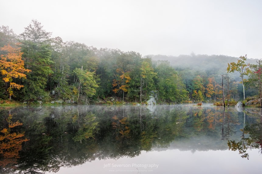 The tree line, with the first hints of autumn colors, reflected in Sanctuary Pond on a foggy October morning at John Burroughs Nature Sanctuary.