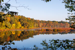 Autumn colors of the tree line reflected in Louisa Pond during the golden hour of an October sunrise at Shaupeneak Ridge in Esopus.