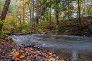 A photo of Black Creek, after a weekend of heavy rainfall, on a foggy October morning at Scenic Hudson's Black Creek Preserve.