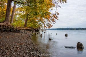 A photo from along one of several shoreline access points to the Hudson River at Scenic Hudson's Falling Waters Preserve in Glasco on a cloudy October morning just after sunrise.