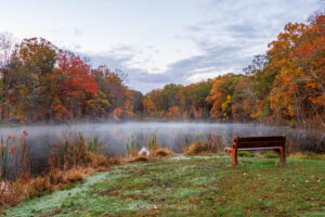 A photo of a bench in front of a fog covered South Pond surrounded by fall foliage on an October morning at Ferncliff Forest in Rhinebeck, NY.